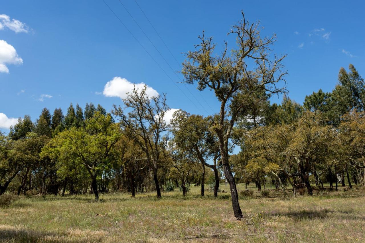 Monte Dos Passarinhos Villa Grândola Екстериор снимка